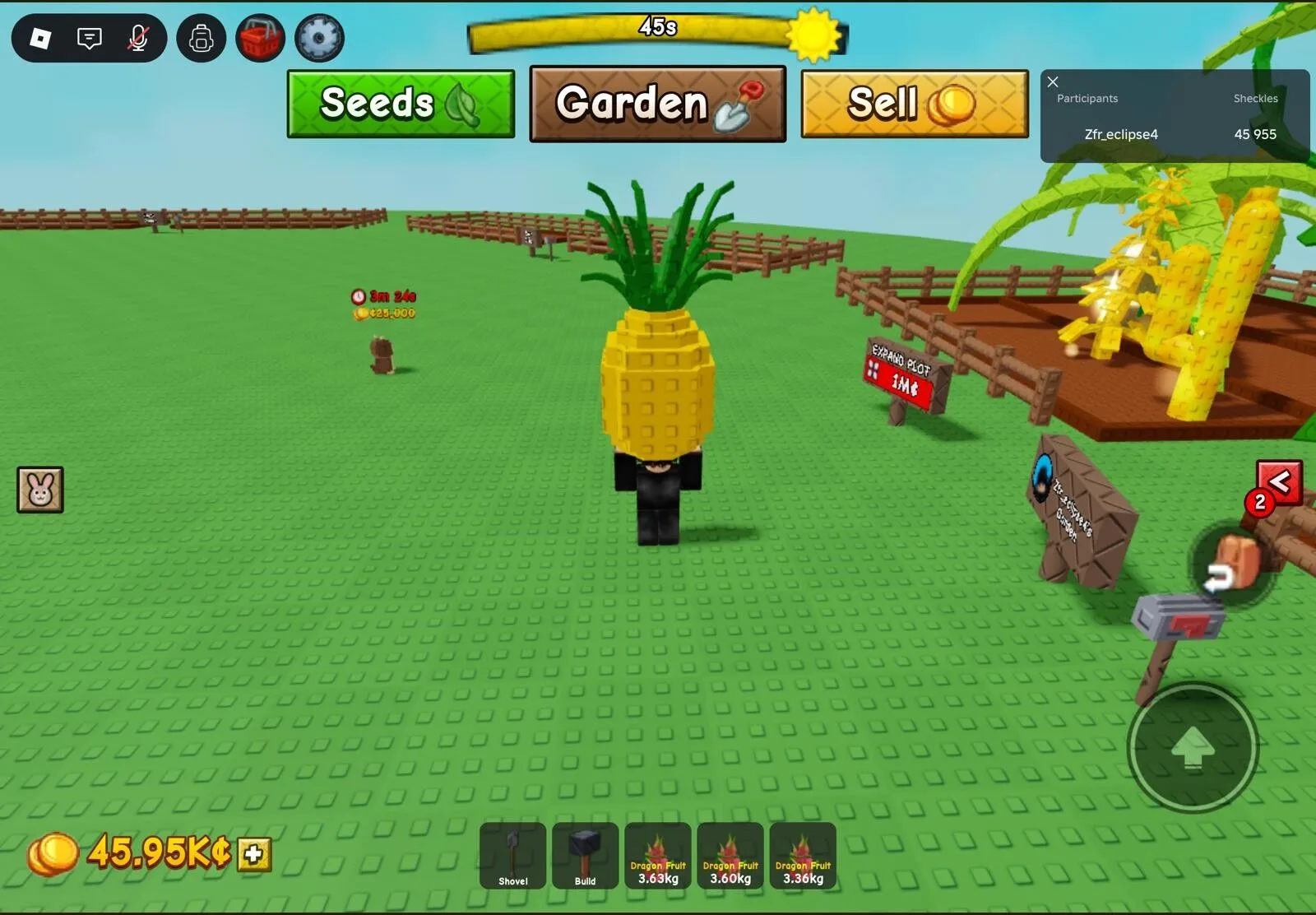 Grapp fruit — Account account