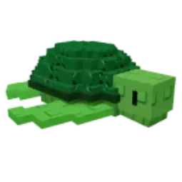 Sea Turtle