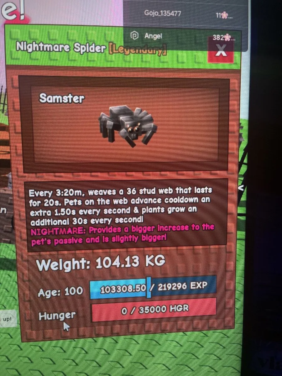 GODLY-104KG-AGE100 NIGHTMARE SPIDER
