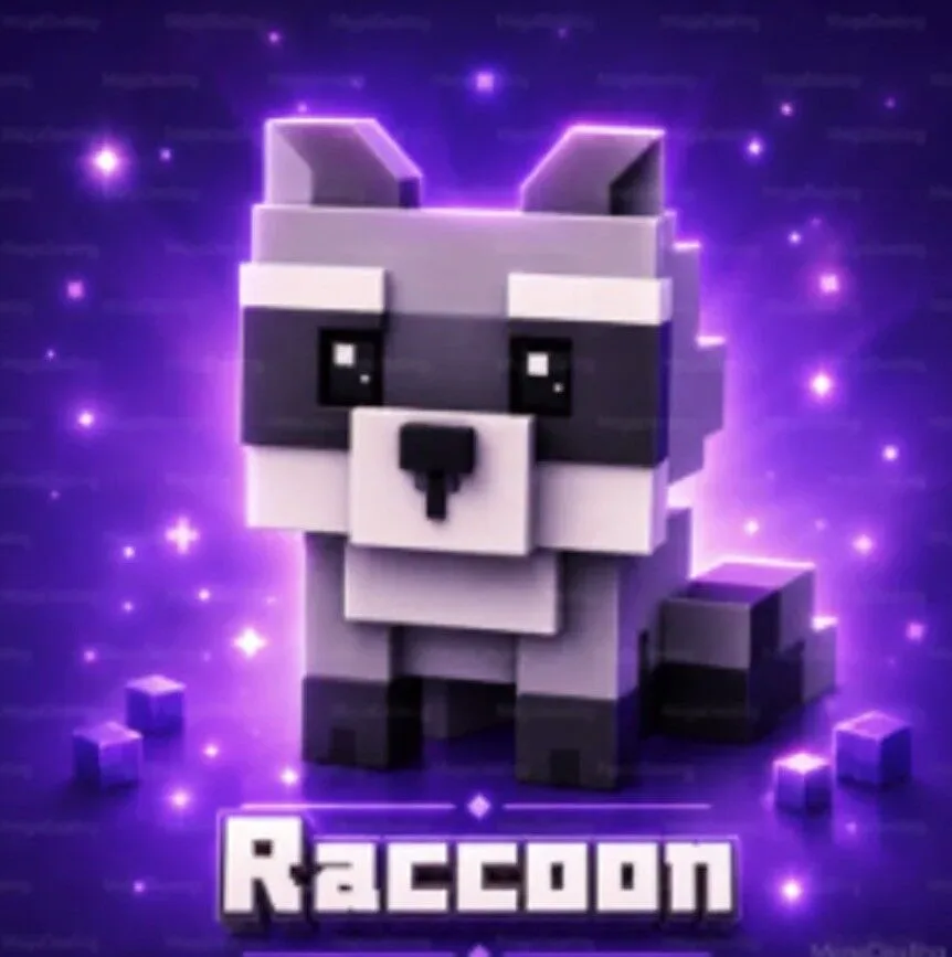Raccoon — Account account