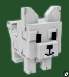 VERY BIG SIZE Arctic Fox new pet ! Age 1 100 1.25KG
