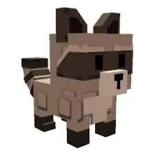 Raccoon — Account account