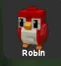 Robin (Legendary) — Account account