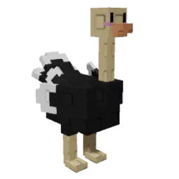 Ostrich
