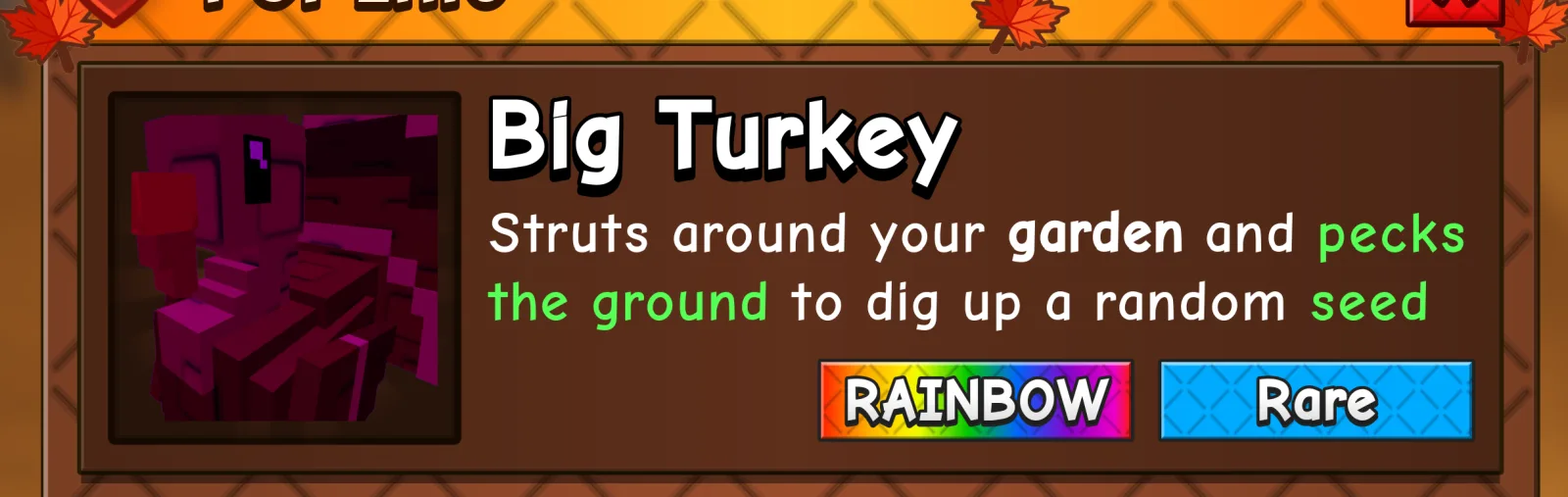 Turkey (Rare)