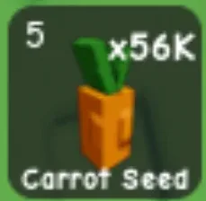 Carrot Seed (Common)