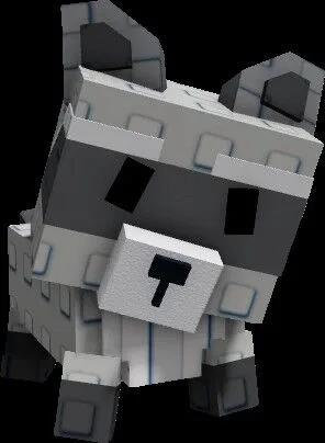 Raccoon Cheapest — Account account
