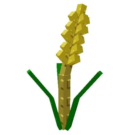 Wheat Seed (Common)