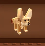 Fennec Fox — Account account