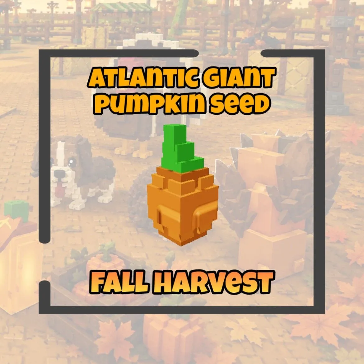 Atlantic Giant Pumpkin Seed