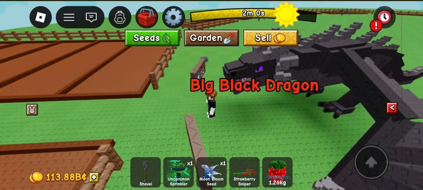 Black Dragon (Super)