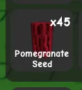 Pomegranate Seed