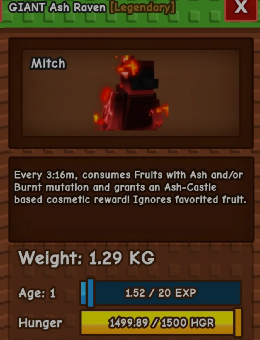 GIANT ASH RAVEN PETS