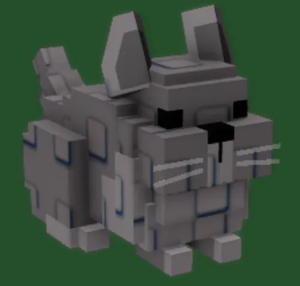 CHINCHILLA — Account account