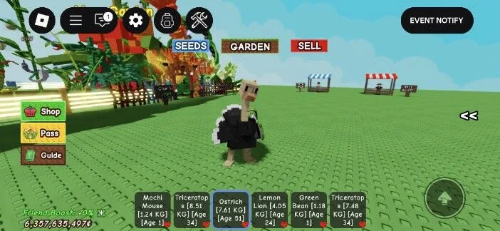 Ostrich 7,61kg age 51