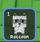 Raccoon (Super) — Account account