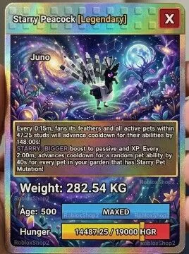 282.54KG OP MUTATION STARRY GIGANTIC PEACOCK 5 0 0 AGE l READY TO USE - 15 SEC MAX CD - NO TOY LIMITED STOCK