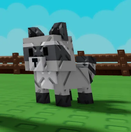 Raccoon (Super) — Account account