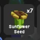 Sunflower Seed (Legendary) — Account account