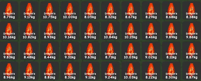 2x Dragon Breath Fruit 8-10KG (Not Seed) (Super)