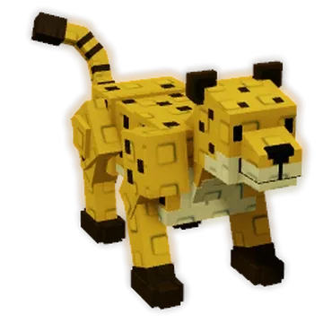 Cheetah — Account account