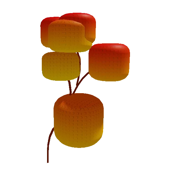 Maple Mango Seed