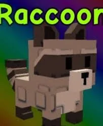 Raccoon Rainbow — Account account