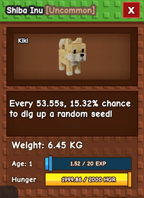 HUGE SHIBA INU AGE 1 6.45KG GAG PET INSTANT DELIVERY — Account account
