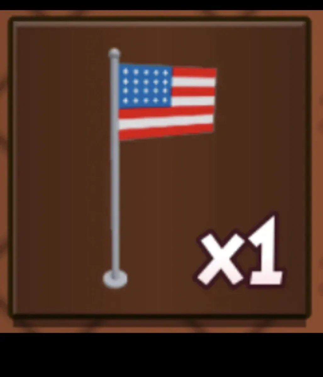 American flag 1