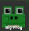 Frog (Common)