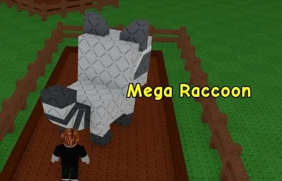 Raccoon (Super)