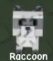 Raccoon (Super) — Account account