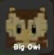 Owl (Uncommon) — Account account
