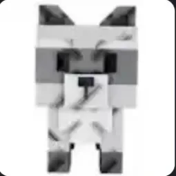 Raccoon (Super) — Account account
