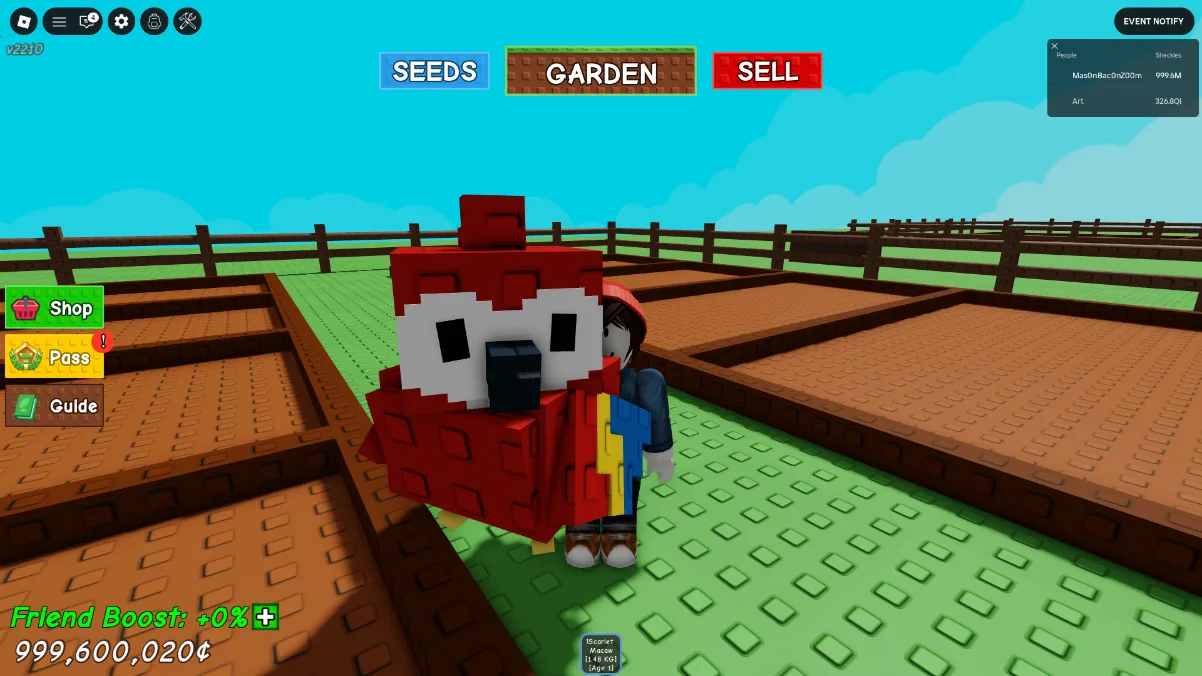 1x Scarlet Macaw INSTANT DELIVERY