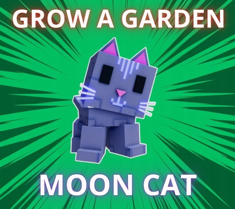 moon cat