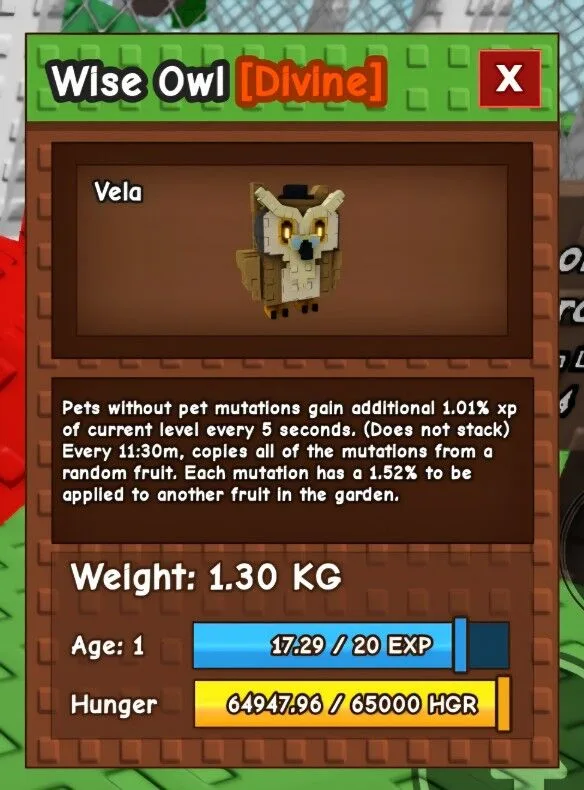 Wise Owl (Novo Pet Divine) Delivery