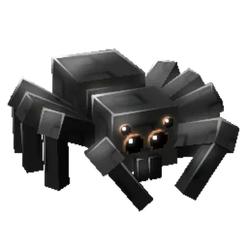 Spider Pet