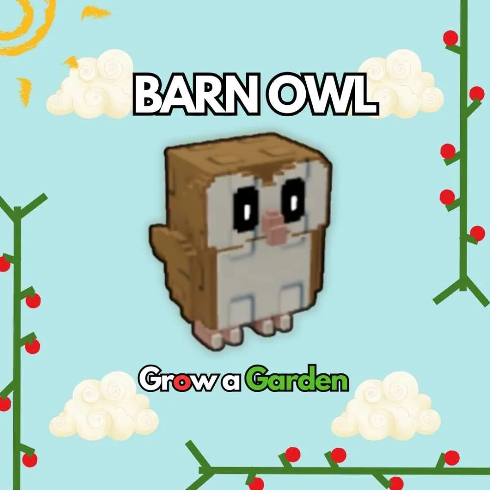 Barn Owl Fast and Safe Delivery
