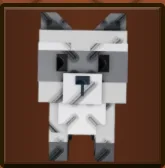 Raccoon
