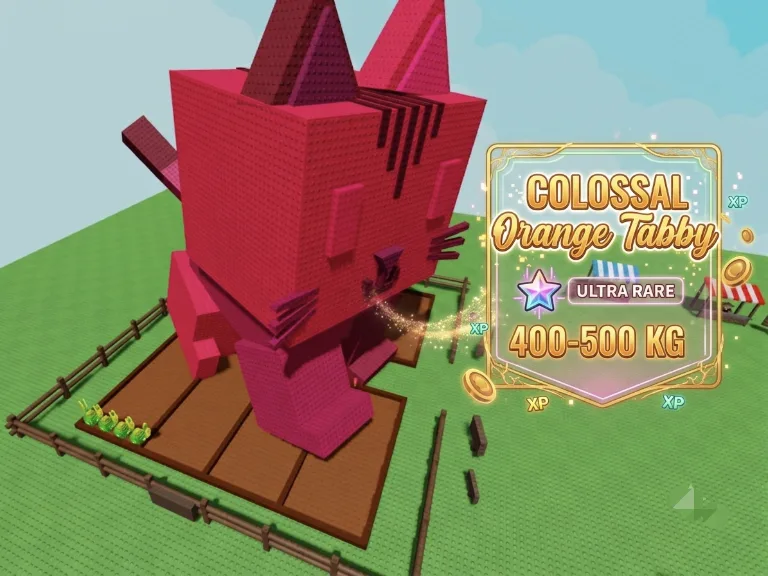 COLOSSAL Orange Tabby (400-500+ KG) RAREST AND BIGGEST SIZE!