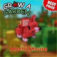 Mochi Mouse Fast and Safe Delivery