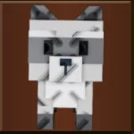 Raccoon (Super)