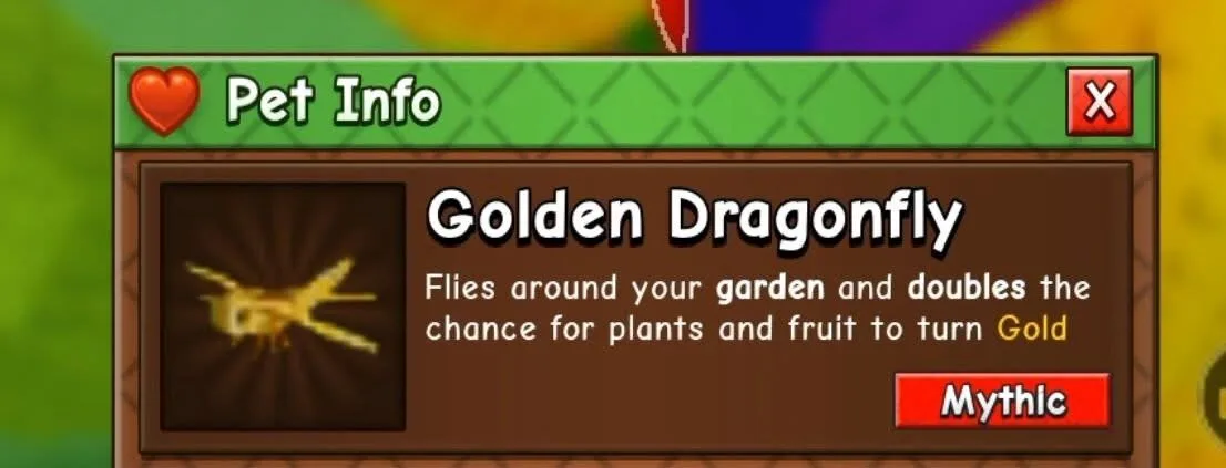 Golden Dragonfly — Account account