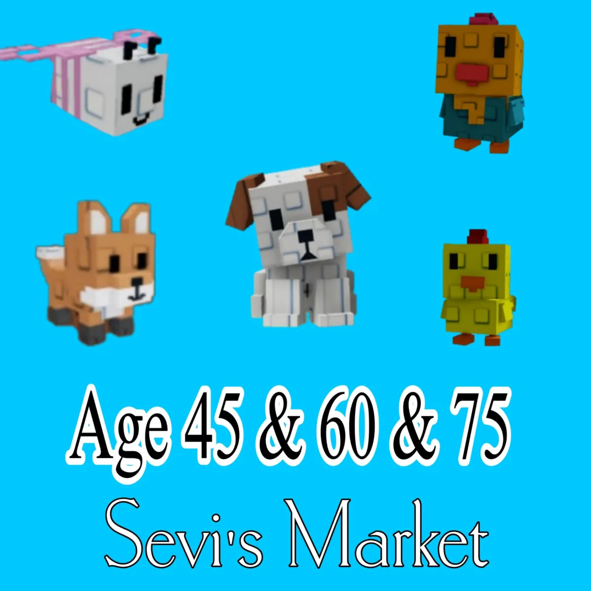 BUNDLE AGE 45 & 60 & 75 / UPGRADE SLOT PETS — Account account