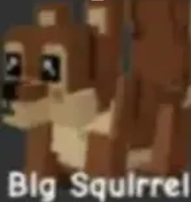 Squirrel (Rare)