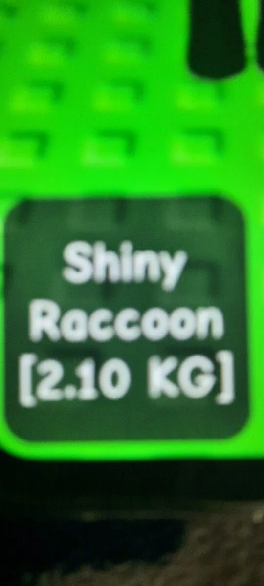 2.10 KG SHINY RACCON FOR JUST 3