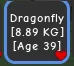 dragonfly