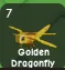 GOLDEN DRAGON FLY — Account account
