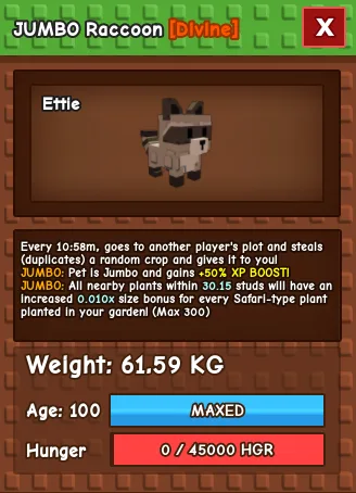 Jumbo Raccoon